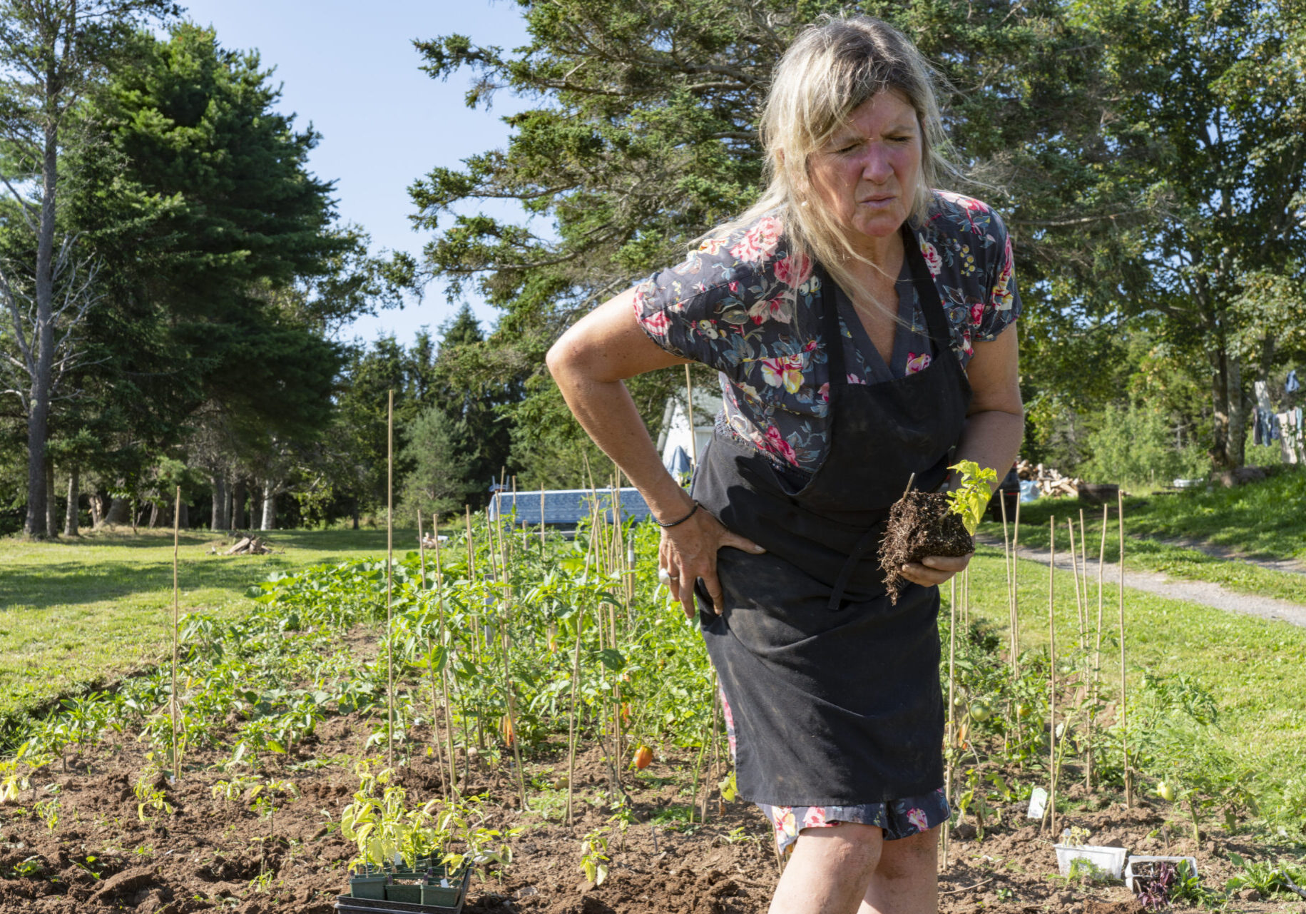 A woman with a painful hip. She is out working in her vegetable garden.